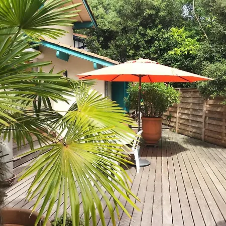 Maison Jardin Wifi Au Calme Proche Centre * Arcachon